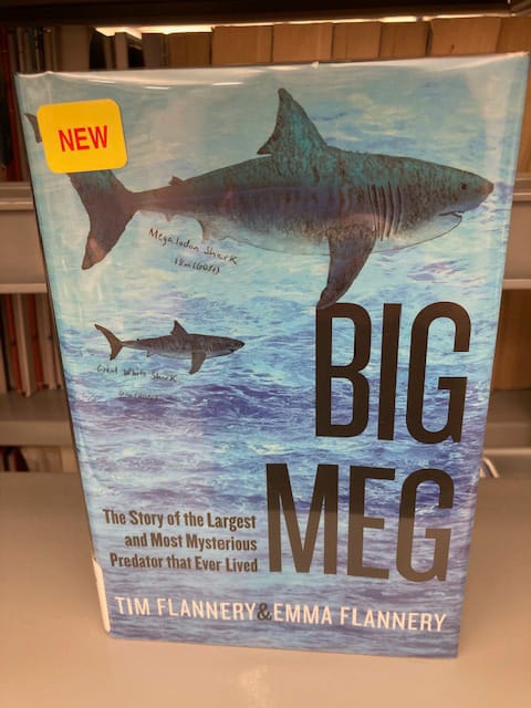 Big Meg: The Story of the Largest and Most Mysterious Predator that Ever Lived