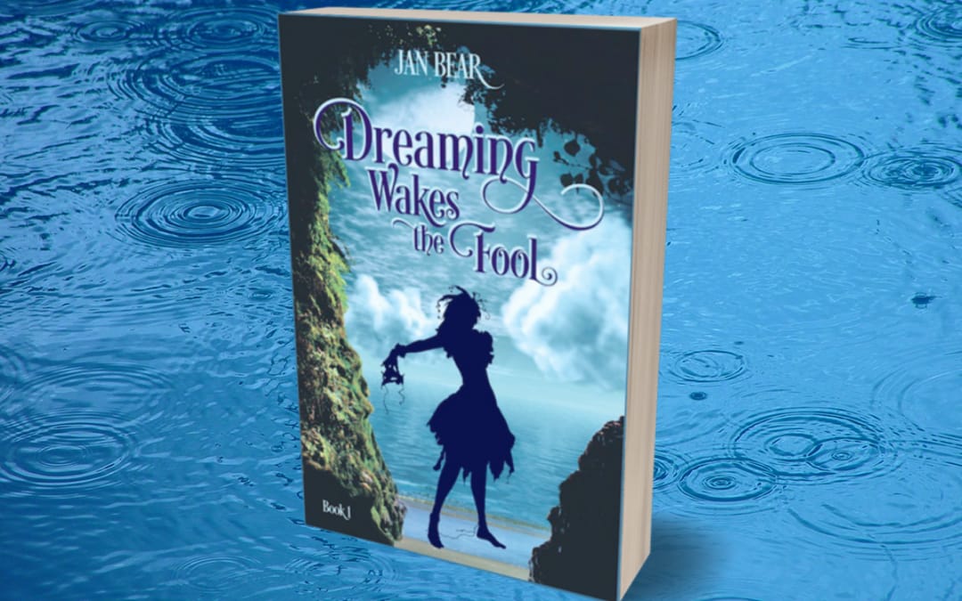 Dreaming Wakes the Fool: Book 1 by Jan Bear