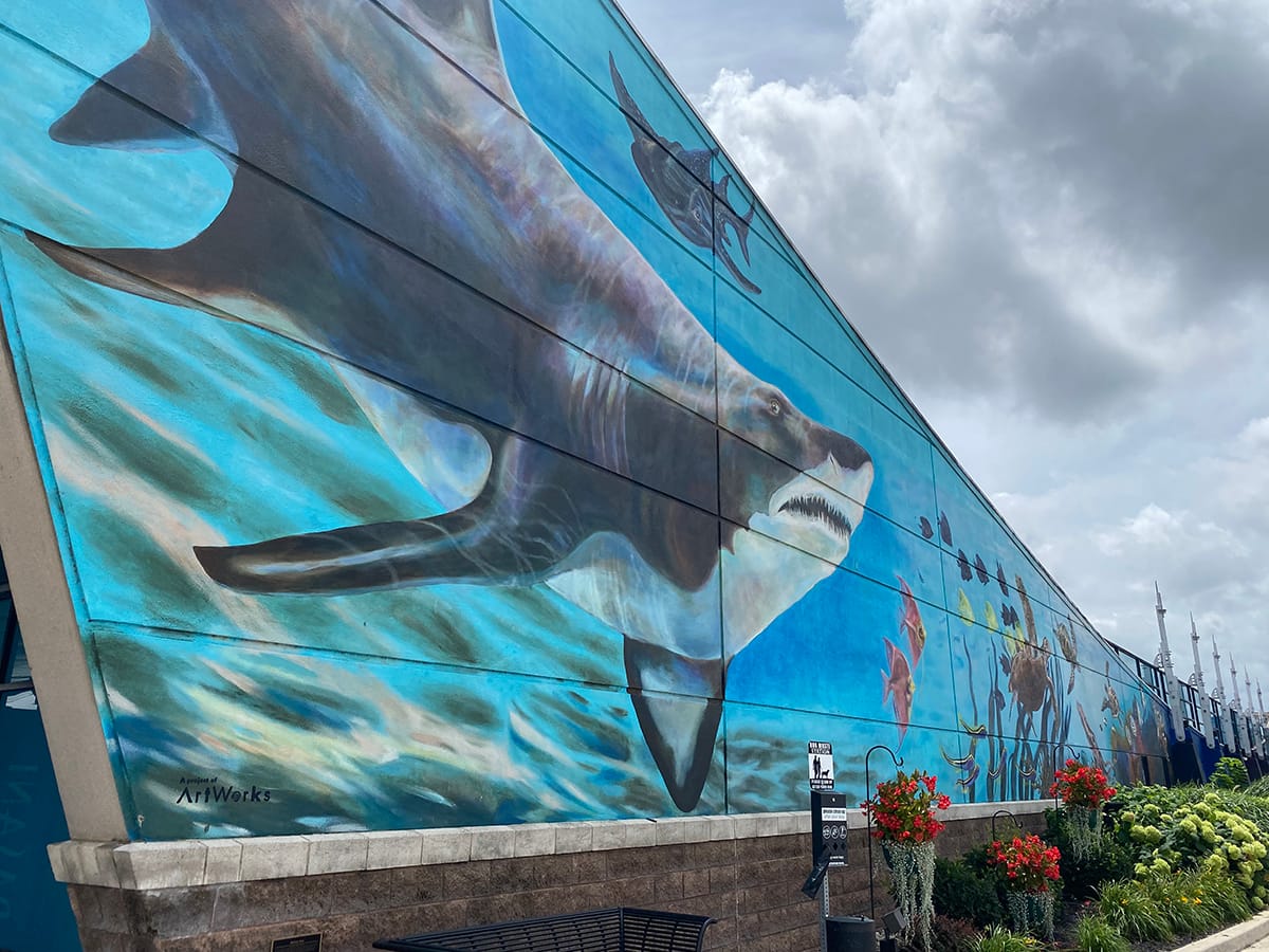 Newport Aquarium | Newport, KY