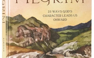 Pilgrim 25 ways God’s Character Leads Us Onward By Ruth Chou Simons
