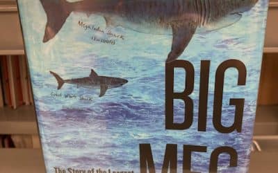 Big Meg: The Story of the Largest and Most Mysterious Predator that Ever Lived