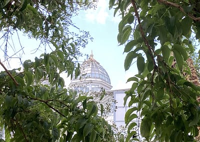 Franklin Park Conservatory and Botanical Gardens | EarthScaper | Travel
