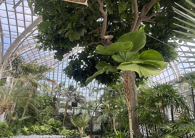 Franklin Park Conservatory and Botanical Gardens | EarthScaper | Travel